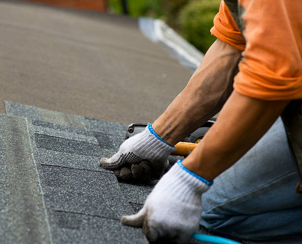 Best Commercial Roofing Services  in Forest Lake, IL