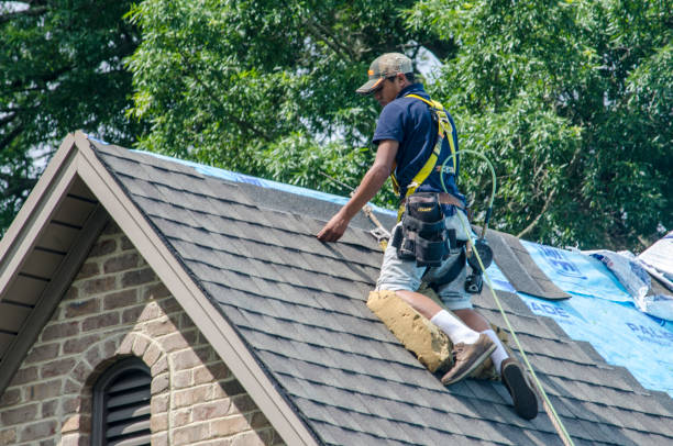 Best Best Roofing Contractors  in Forest Lake, IL